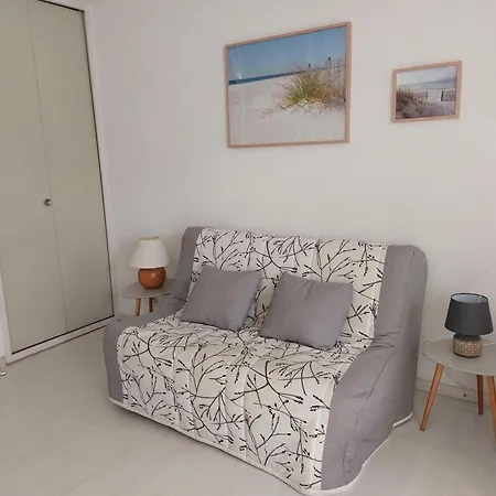 Studio Cabine Cat Avec Piscine *